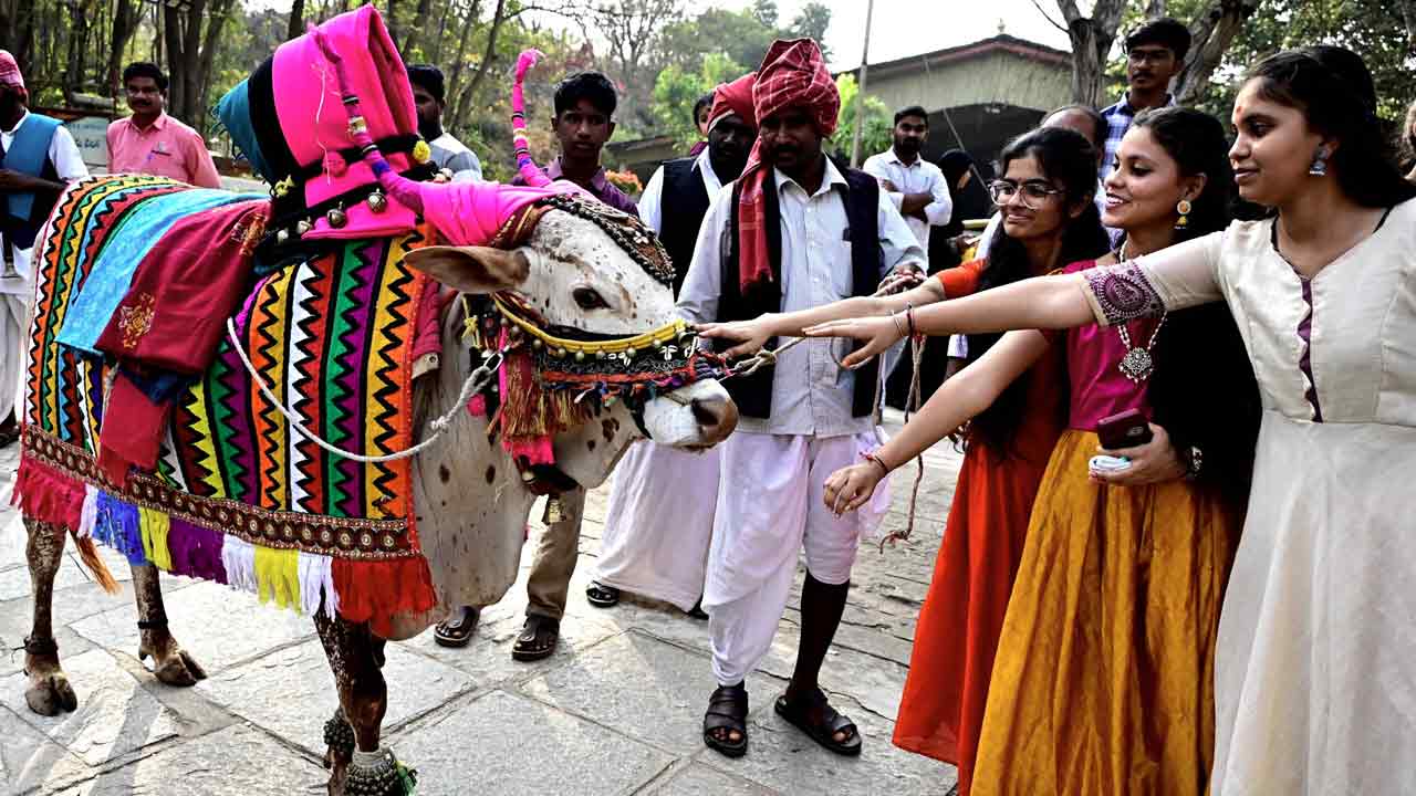 Sankranti-Hyderabad హైదరాబాద్ నగరంలో సంక్రాంతి సంబరాల చిత్రాలు.. 