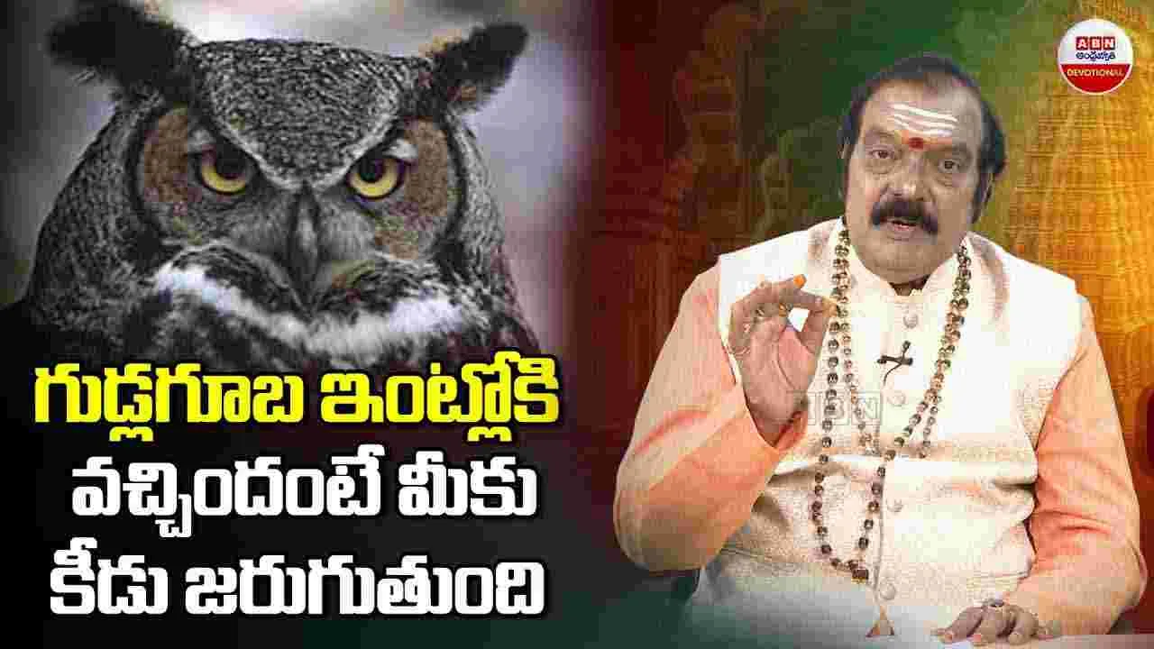 Dharma Sandhehalu : గుడ్లగూబ ఇంట్లోకి వచ్చిందంటే ఏం జరుగుతుందో తెలుసా.. 