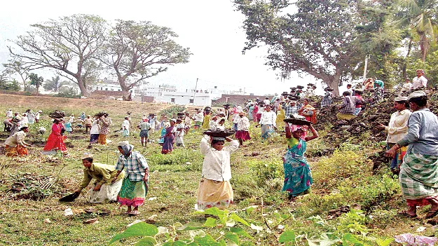 Desperation for urban farmers? పట్టణ రైతులకు   నిరాశేనా? 