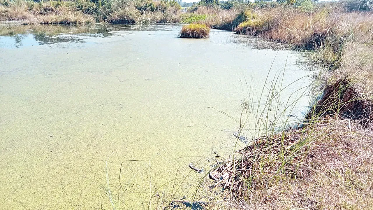 problem for industries భూములిస్తే రోగాలిచ్చారు!