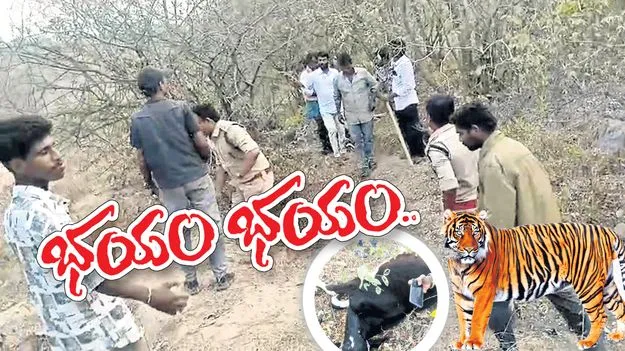 tiger {భయం.. భయం..