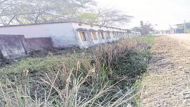 kumaram bheem asifabad-  చెక్‌డ్యామ్‌ కాలువలను కమ్మేస్తున్న పిచ్చిమొక్కలు 