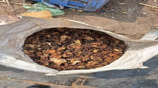 కాసుల కక్కుర్తితో..