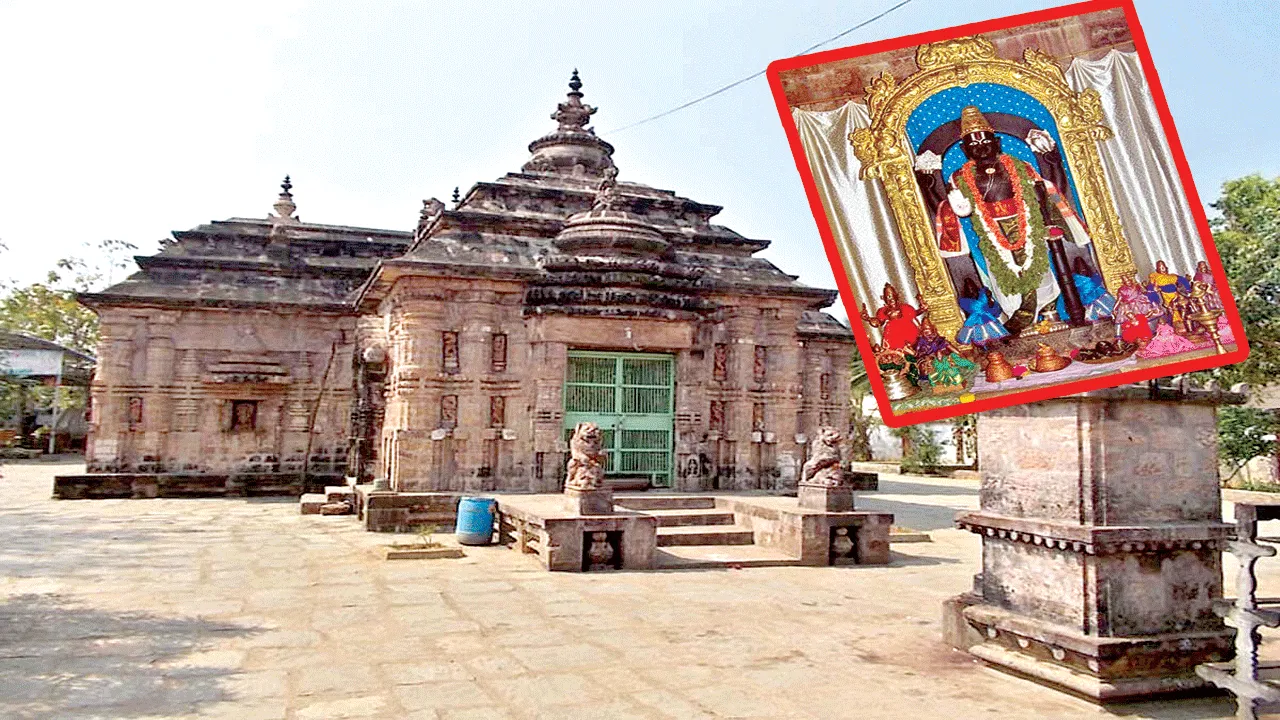 వాసుదేవుడి బ్రహ్మోత్సవాలు