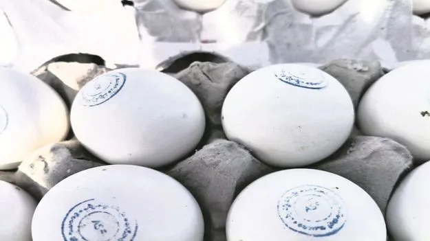 kumaram bheem asifabad- పౌష్టికాహారంపై ప్రత్యేక ‘ముద్ర’