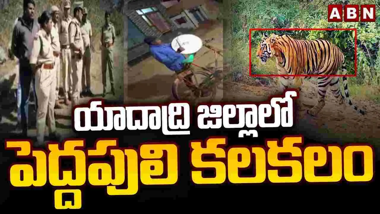 యాదాద్రి జిల్లాలో పెద్దపులి కలకలం