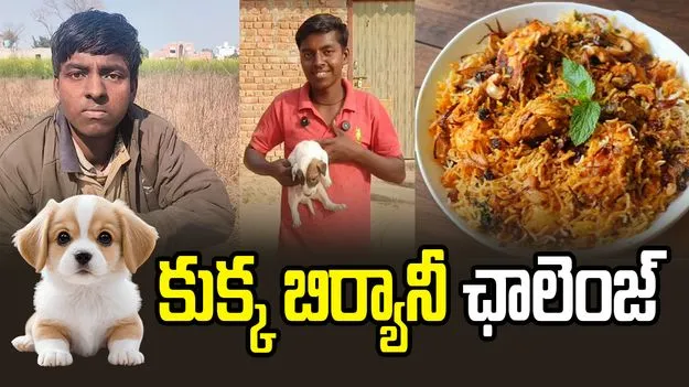 వంద రోజుల డాగ్ బిర్యానీ ఛాలెంజ్.. నువ్వసలు మనిషివేనా.!