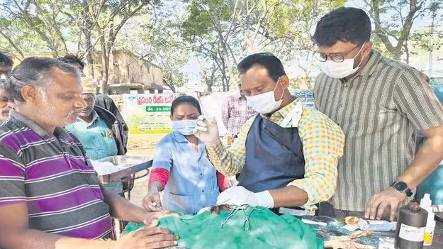 అక్కడ పందెం.. ఇక్కడ చికిత్స