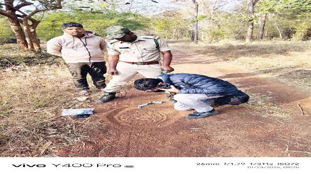 నల్లమలలో ముగిసిన పులుల గణన 