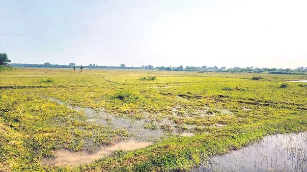 తాండవ చెంతనున్నా సాగునీటికి చింతే?