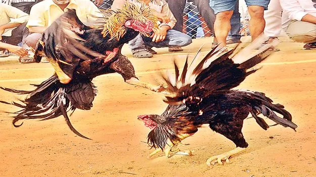  చిన్నబోయారు!