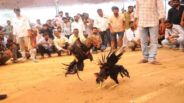 జూదార్పణం