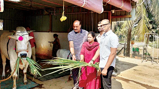 పశు సంపద పరిరక్షణపై ప్రత్యేక దృష్టి