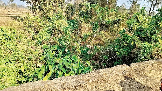  తాలాడలో నీలమ్మతల్లికి పూజలు