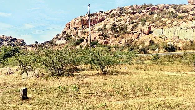 భూ రాబందులు