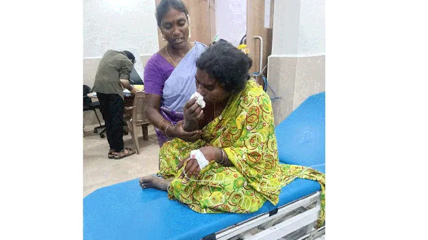 పిచ్చికుక్క కాటుతో  15మందికి పైగా గాయాలు