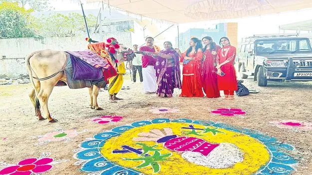 సందడిగా సంక్రాంతి 