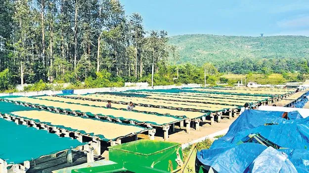 లక్ష్యానికి దూరంగా మ్యాక్స్‌, జీసీసీ