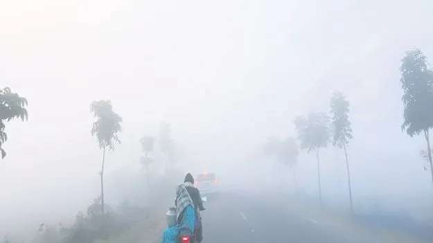  కమ్మేసిన పొగమంచు