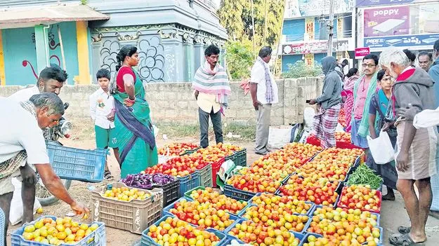 టమాటా ధర ఢమాల్‌