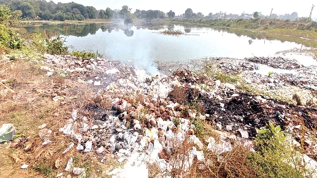 Garbage in the pond చెరువులో చెత్త