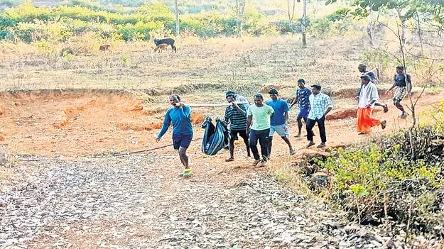 రోగికి తప్పని డోలీమోత