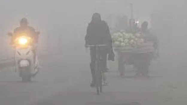 కోస్తాలో దట్టంగా పొగమంచు