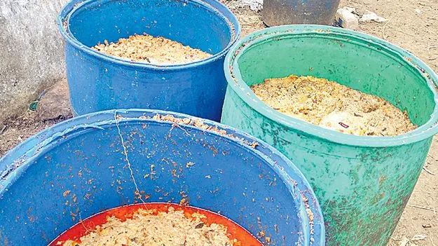 పాలిచ్చే పశువులకు చికెన్‌, మటన్‌ వ్యర్థాలు!