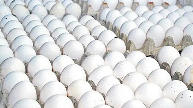 గుడ్డుకు గడ్డుకాలం!