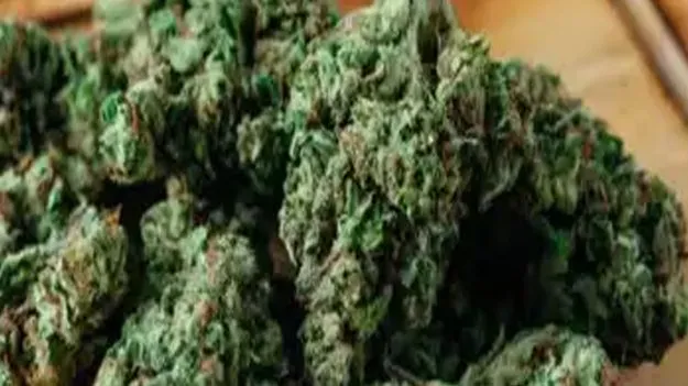 యాడికిలో గంజాయి బ్యాచ్‌ హల్‌చల్‌