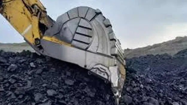 Naini Coal Mine: నైనీ బొగ్గు గని టెండర్‌ నోటిఫికేషన్‌ రద్దు