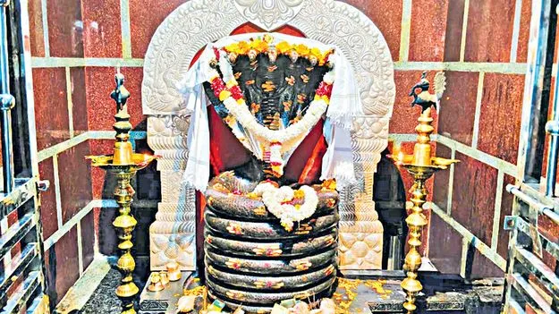 Kesslapur Nagoba Jatra Begins: నేటి నుంచి కేస్లాపూర్‌ నాగోబా జాతర