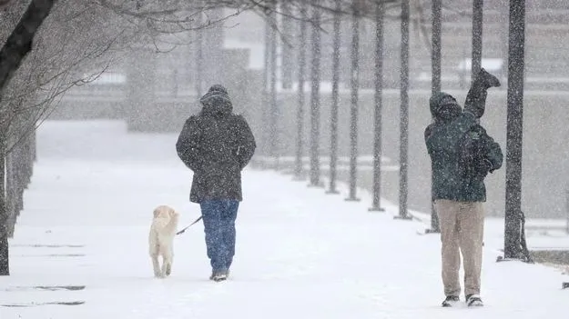 మంచు తుఫానుతో అమెరికా గజగజ
