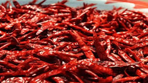 మిర్చి అధరహో!