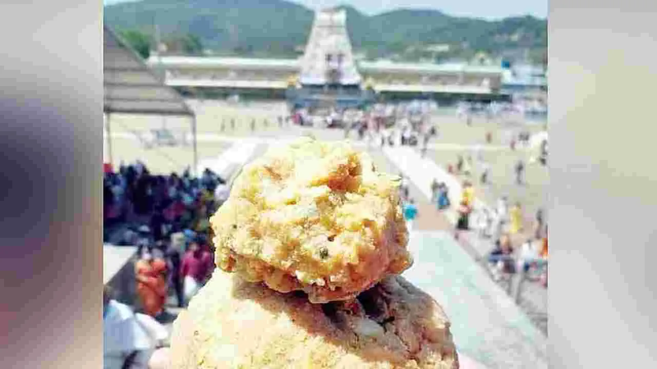 నకిలీ నెయ్యి కేసులో చిన్నప్పన్నకు బెయిల్‌