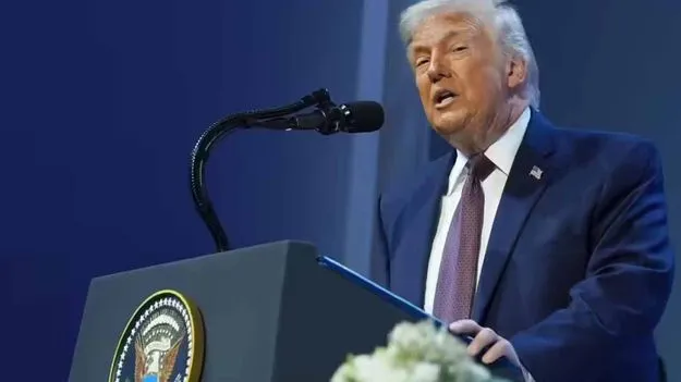 గోరీలదిబ్బపై కొత్తగాజా!