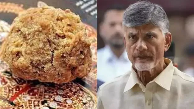 బీజేపీ మరింత క్రియాశీలం కావాలి!