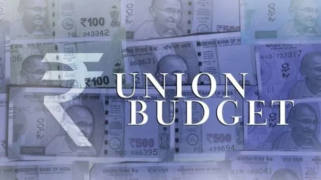 విదేశాంగ శాఖకు కేటాయింపులు నిరాశాజనకం