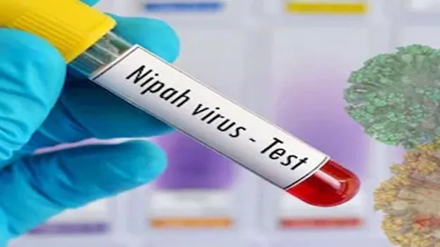 నిఫా కలకలం.. ఆసియా దేశాలు అప్రమత్తం