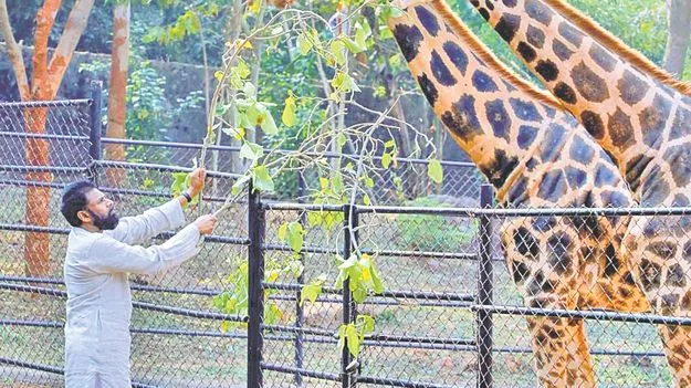 ‘జూ’లలో జీవ వైవిధ్యం