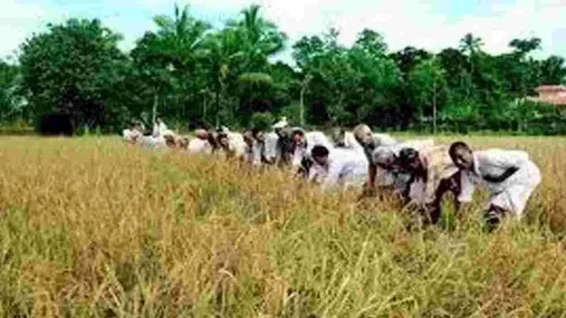 పీఏసీఎస్‌ కమిటీల గడువు పెంపు 