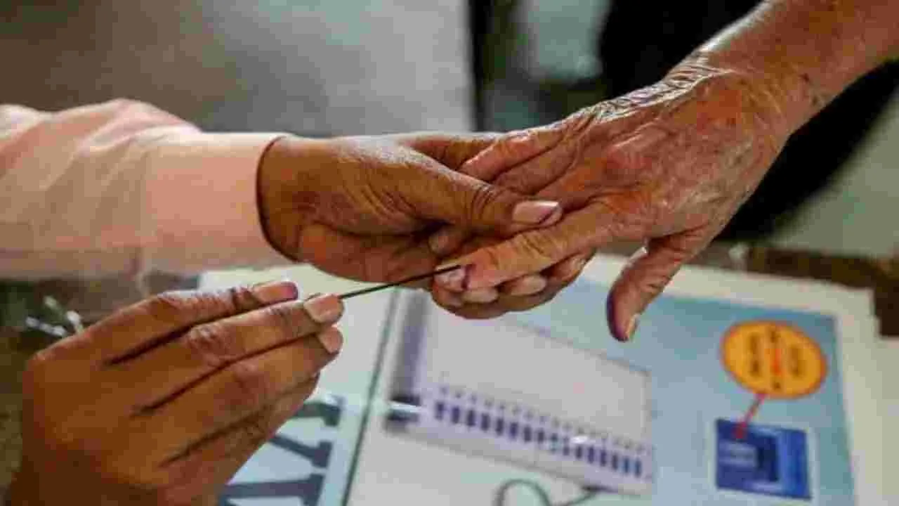 పార్టీ బీఫారాలు ఇవ్వకున్నా ఎన్నికల బరిలో టీడీపీ శ్రేణులు