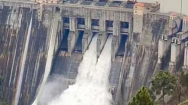 7,917 మెగావాట్ల జలవిద్యుత్‌  కేంద్రాలు