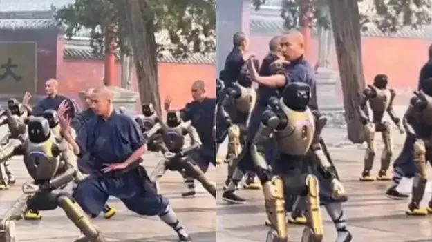 రోబోల కుంగ్‌ఫూ 