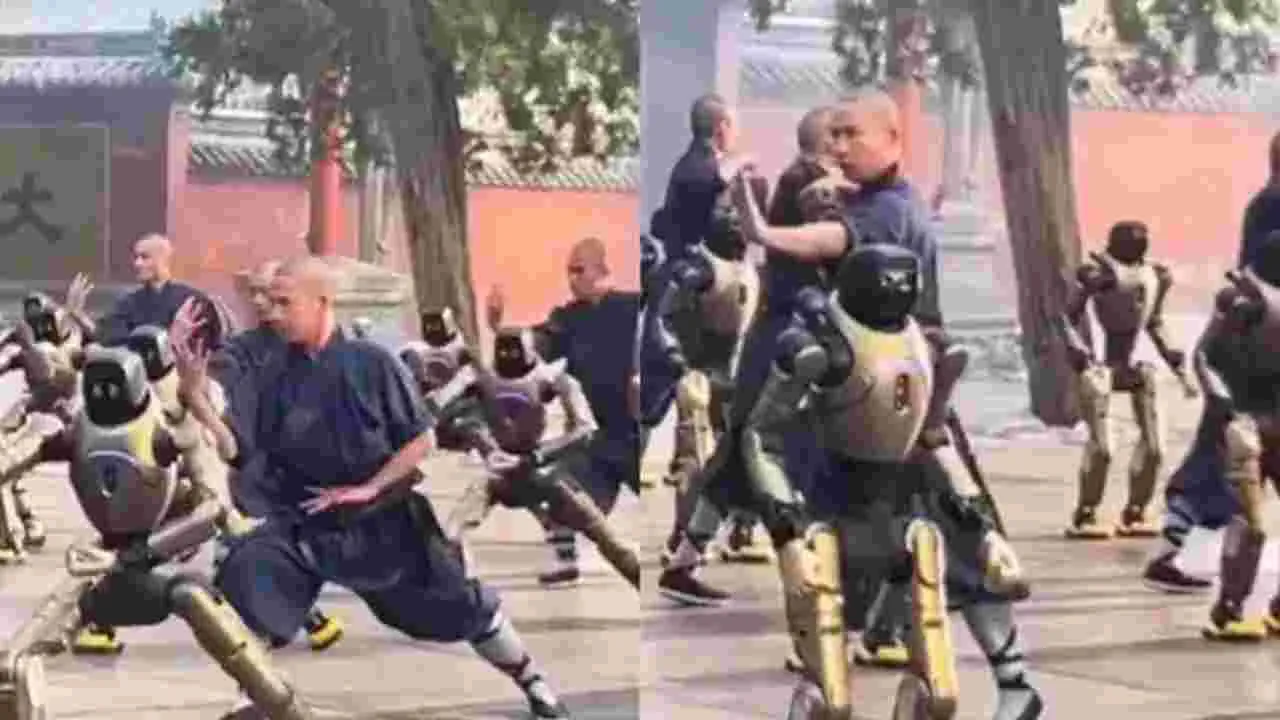 రోబోల కుంగ్‌ఫూ 