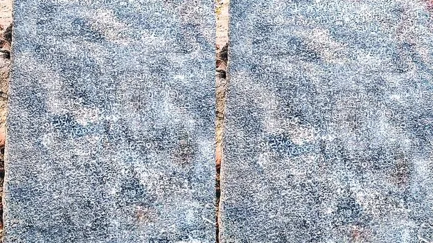 పల్నాడు జిల్లాలో అన్నదేవుని శాసనం లభ్యం