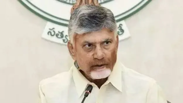 AP CM Chandrababu Naidu: నల్లమల సాగర్‌పై ముందుకే..