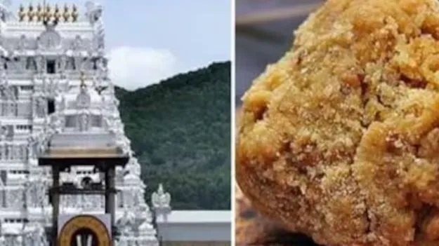 కల్తీ నెయ్యి కథ ఇదీ