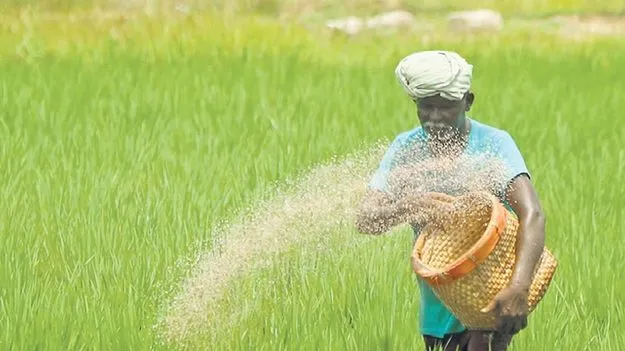వ్యవసాయ రంగానికి బడ్జెట్‌లో కోతలా?