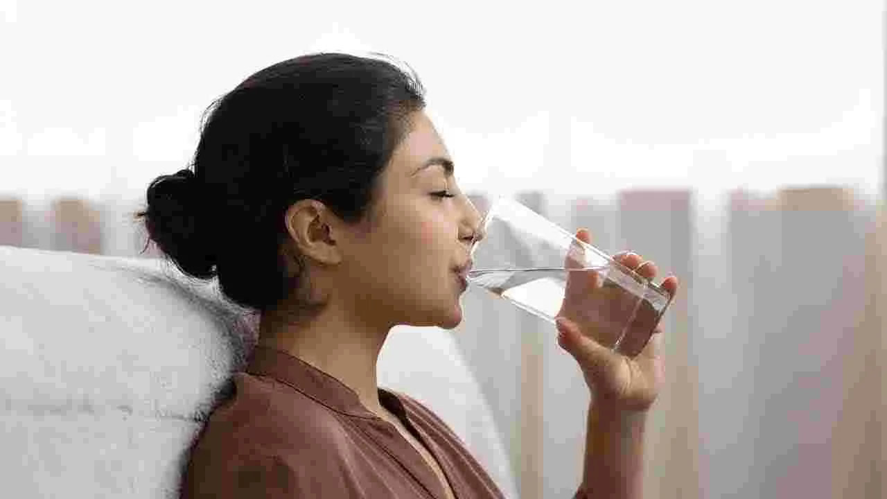 Best Water Bottle For Health: నీళ్ల నిల్వకు ఏ సీసా ఉత్తమం